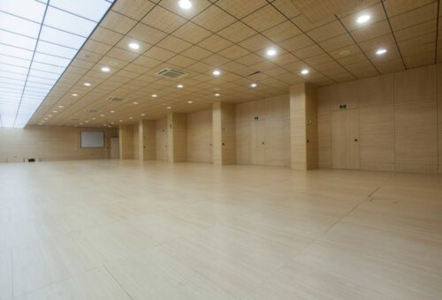 PALACIO DE CONGRESOS MARBELLA SAL